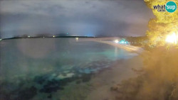 Zlatni rat
