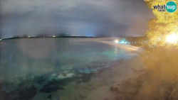 Zlatni rat
