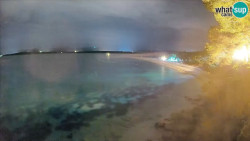 Zlatni rat