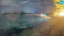 Zlatni rat