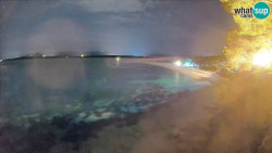 Zlatni rat