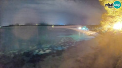 Zlatni rat