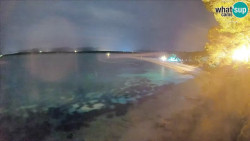 Zlatni rat