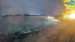 Zlatni rat