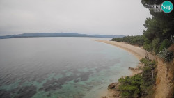 Zlatni rat