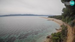 Zlatni rat