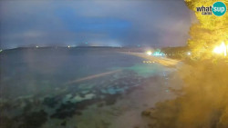 Zlatni rat
