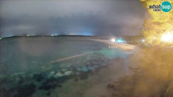 Zlatni rat