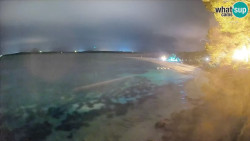 Zlatni rat