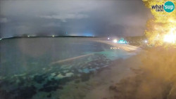 Zlatni rat