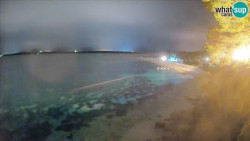 Zlatni rat