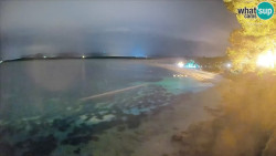 Zlatni rat