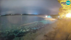 Zlatni rat
