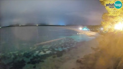 Zlatni rat