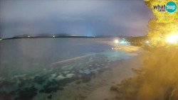 Zlatni rat