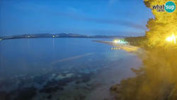 Zlatni rat