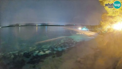 Zlatni rat