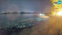 Zlatni rat