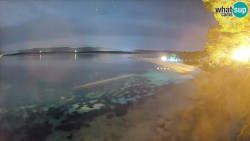 Zlatni rat