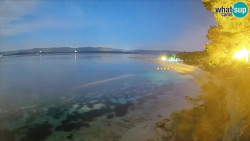 Zlatni rat