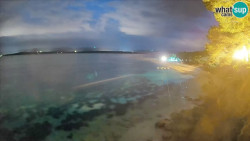 Zlatni rat