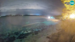Zlatni rat