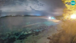 Zlatni rat