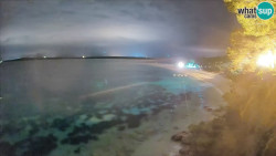 Zlatni rat