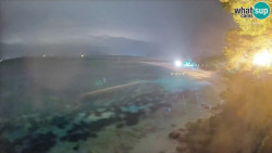 Zlatni rat