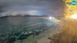Zlatni rat