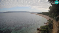 Zlatni rat