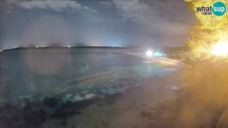 Zlatni rat
