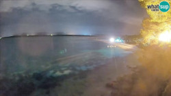 Zlatni rat