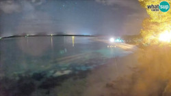 Zlatni rat