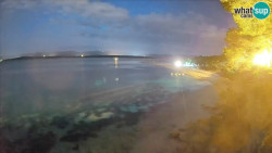 Zlatni rat