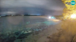 Zlatni rat