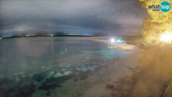 Zlatni rat