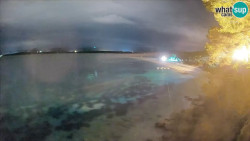 Zlatni rat