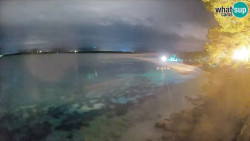 Zlatni rat