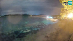 Zlatni rat