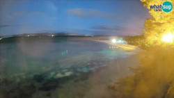 Zlatni rat
