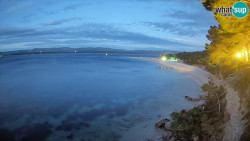 Zlatni rat