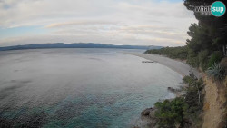 Zlatni rat