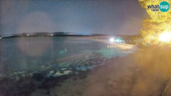 Zlatni rat