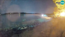 Zlatni rat