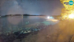 Zlatni rat