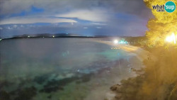 Zlatni rat