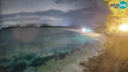 Zlatni rat