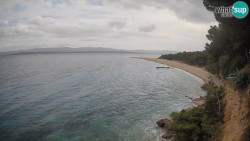 Zlatni rat