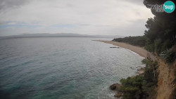 Zlatni rat